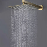 Ultra Sleek 304-Grade SS Overhead Shower (Color Plated)