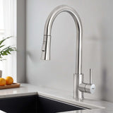 Kara Dual Flow Pull-out Kitchen Mixer Faucet (Silver)