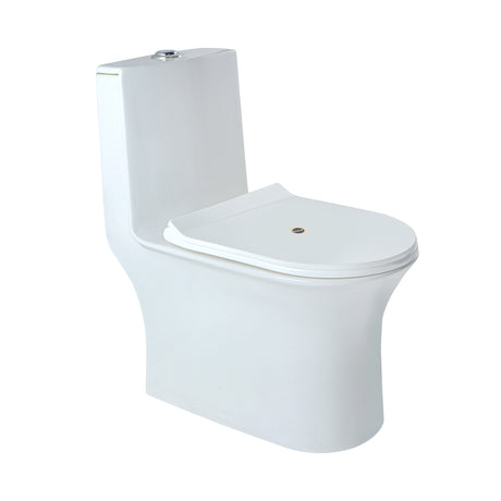 Dune Western Toilet / Commode (One-piece EWC) - by Ruhe