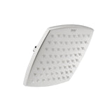 Arc 304-Grade SS Overhead Shower