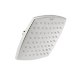 Arc 304-Grade SS Overhead Shower