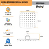 Arc 304-Grade SS Overhead Shower