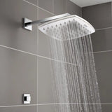 Arc 304-Grade SS Overhead Shower