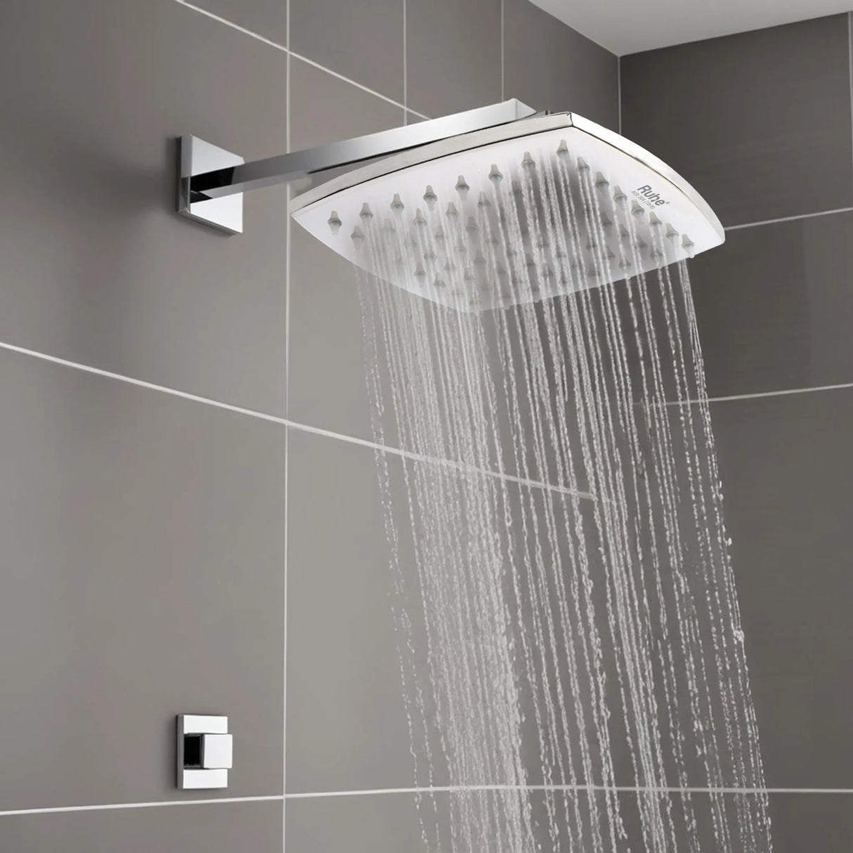 Arc 304-Grade SS Overhead Shower
