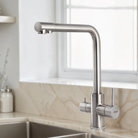 Trim 304-Grade Kitchen Sink Mixer Tap with Built-in RO Tap