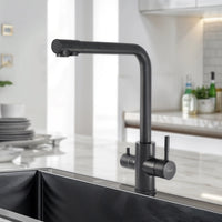 Trim 304-Grade Kitchen Sink Mixer Tap with Built-in RO Tap