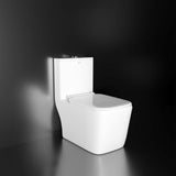 Athos One Piece Western Commode with in Built Jet