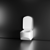 Risa Wall-Hung Rimless P-Trap Western Toilet / Commode (White) - by Ruhe