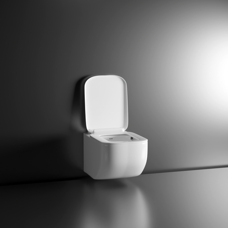 Risa Wall-Hung Rimless P-Trap Western Toilet / Commode (White)