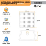 Ultra Sleek 304-Grade SS Overhead Shower (Color Plated)