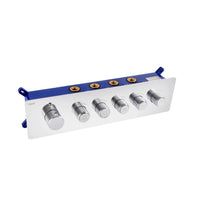 Vario 5-Function Thermostatic Diverter Set
