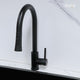 Kara Dual Flow Pull-out Kitchen Mixer Faucet