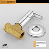 Kubix Concealed Stop Valve Brass Faucet (15mm) package content