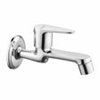 Liva Bib Tap Long Body Brass Faucet